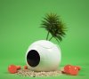  Кружка меняющая картинку 3D ABYstyle: Вегета Космический корабль (Vegeta Spaceship) Жемчуг дракона (Dragon Ball) (ABYMUG556) 500 мл